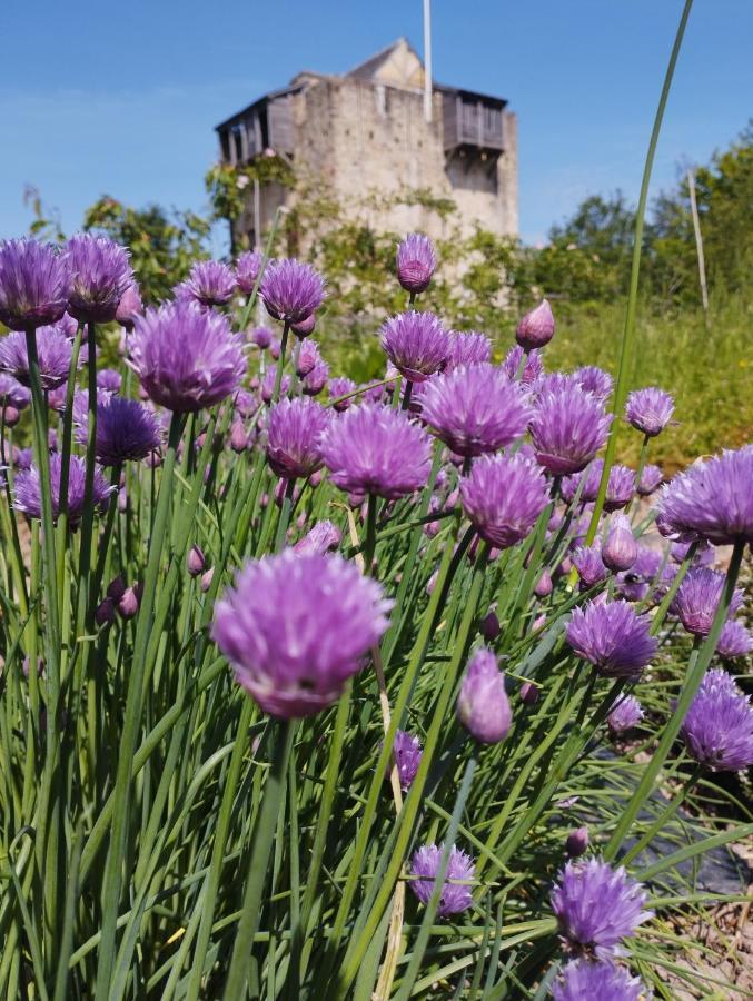 Domaine De La Ferte Clairbois Hotel Sainte-Suzanne  ภายนอก รูปภาพ