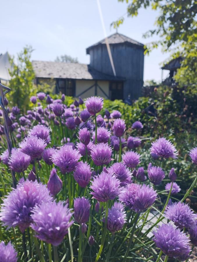 Domaine De La Ferte Clairbois Hotel Sainte-Suzanne  ภายนอก รูปภาพ